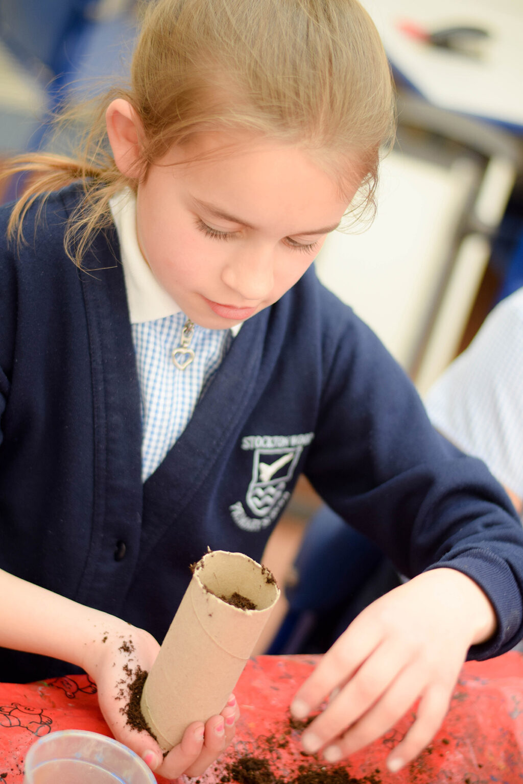 Year 6 Stockton Wood Primary School year-6-stockton-wood-primary-school